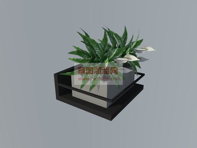 陈设摆件植物SU模型 1