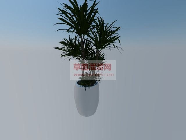 花盆植物摆件SU模型 1