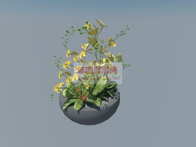 花盆盆栽植物SU模型 1