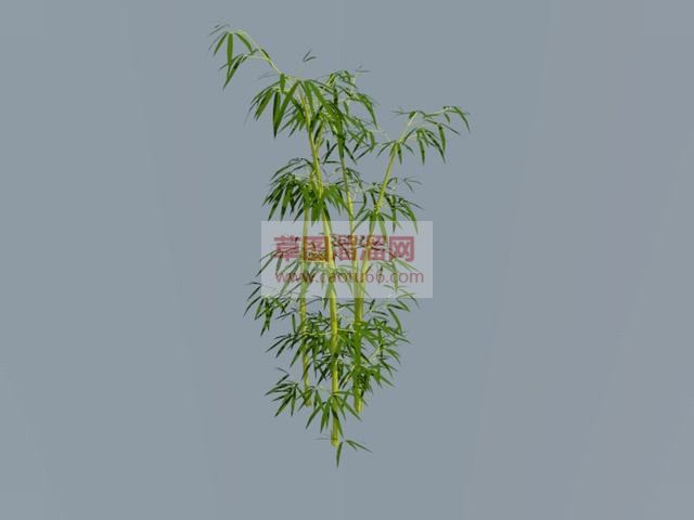 竹子植物SU模型 1