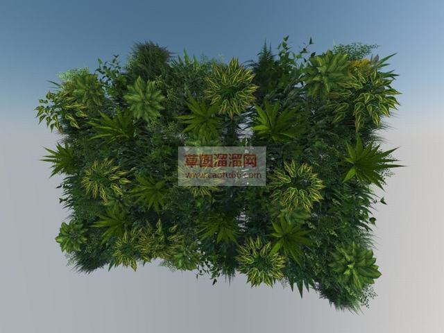 绿植墙墙上植物植物SU模型 1