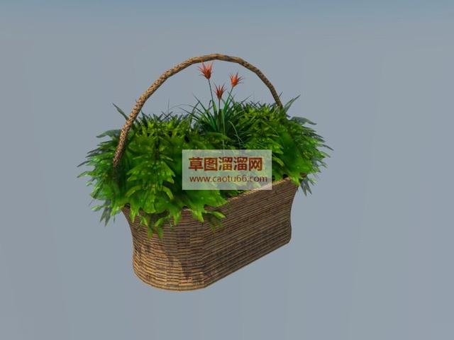 篮子花盆绿色植物SU模型 1