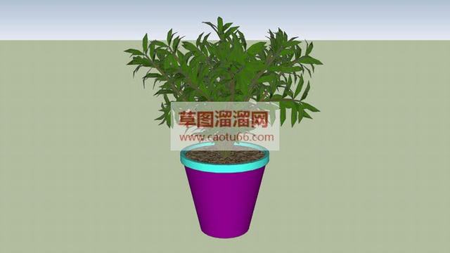 花盆盆栽SU模型 1