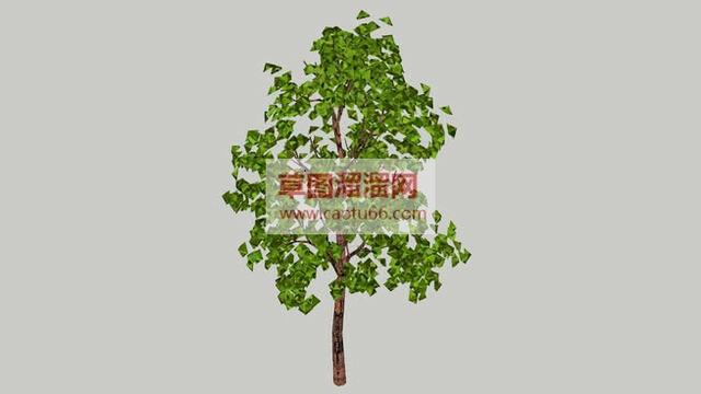 绿色树风景树树木SU模型 1