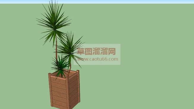 小小植物木花SU模型 1