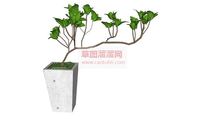 家居植栽花盆SU模型 1