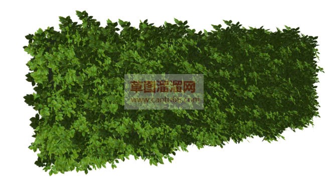 草图大师绿植SU模型 1