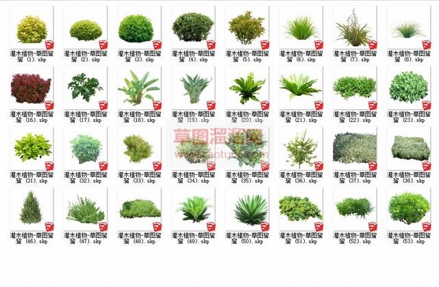 植物百度云资SU模型 1