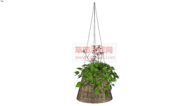 吊篮植物装饰SU模型 1