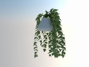 室内 植物 吊篮 植物 免费