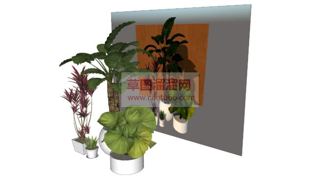 花盆植物免费SU模型 1