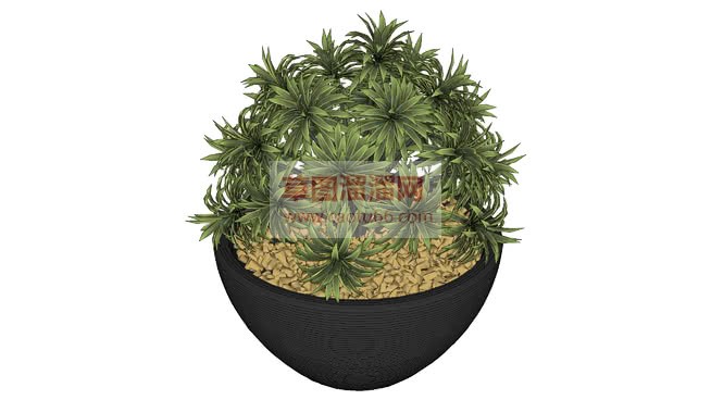 瓦盆栽植物的SU模型 1