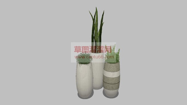 细花瓶花盆植SU模型 1