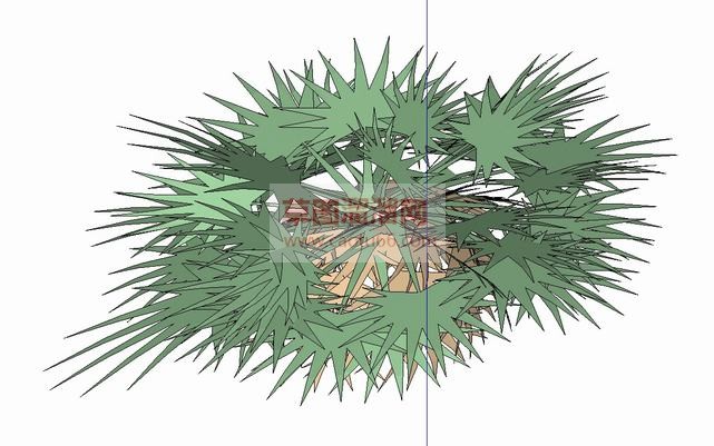 2D灌木植物SU模型 1