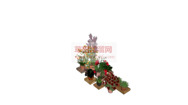 花盆植物SU模型 1