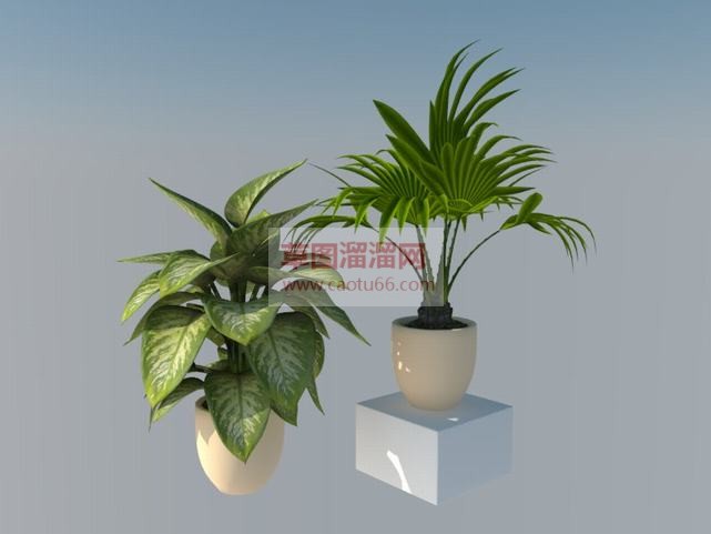 花盆盆栽植物SU模型 1