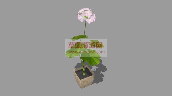 花盆植SU模型 1