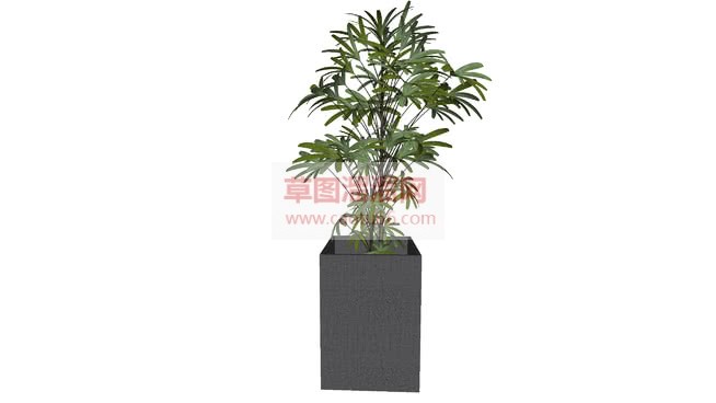 植物盆SU模型 1