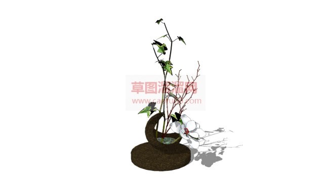 孔雀花盆盆栽SU模型 1