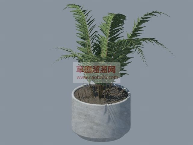 盆栽花盆植物SU模型 1