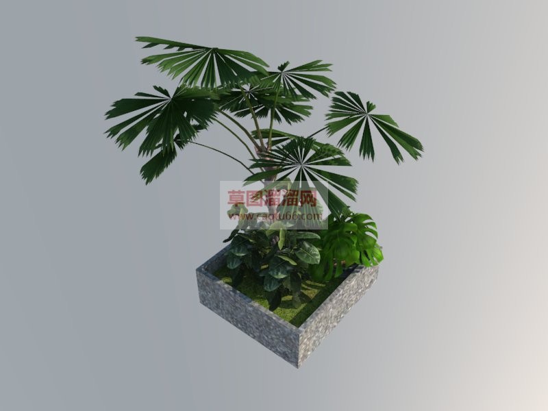 盆景盆栽植物SU模型 1