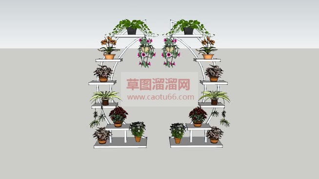 爱心形状植物SU模型 1