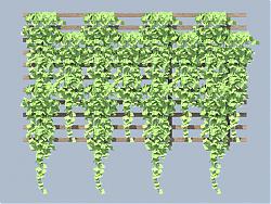 爬山虎SU模型 免费sketchup模型下载