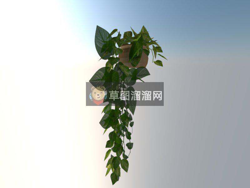 绿萝植物装饰SU模型 1