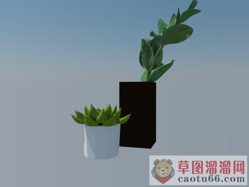 花盆多肉植物SU模型 1