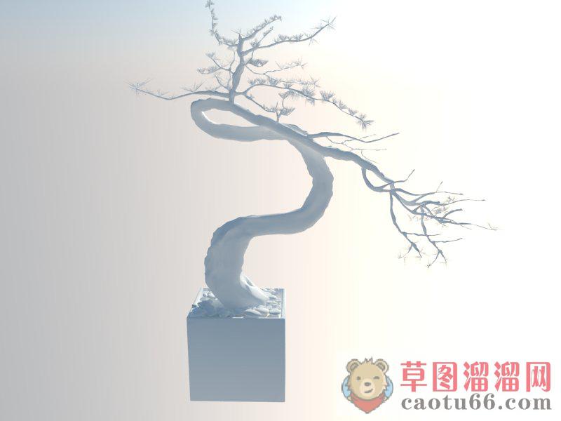 景观盆景松树SU模型 1