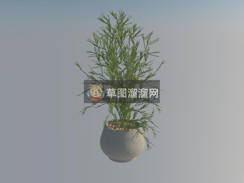 盆景花盆盆栽SU模型 1