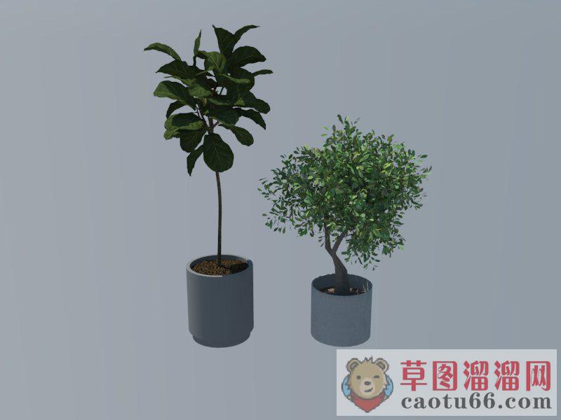 花盆植物盆栽SU模型 1