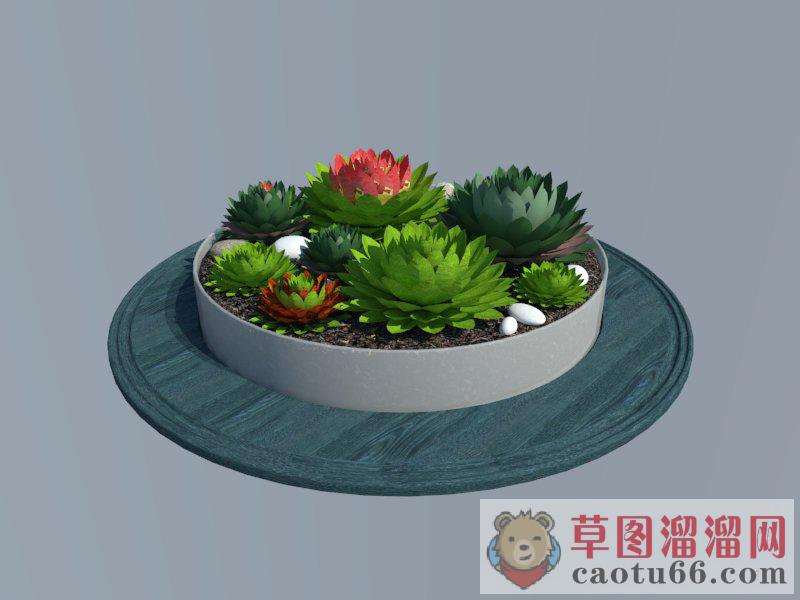 多肉植物花坛盆景SU模型 1