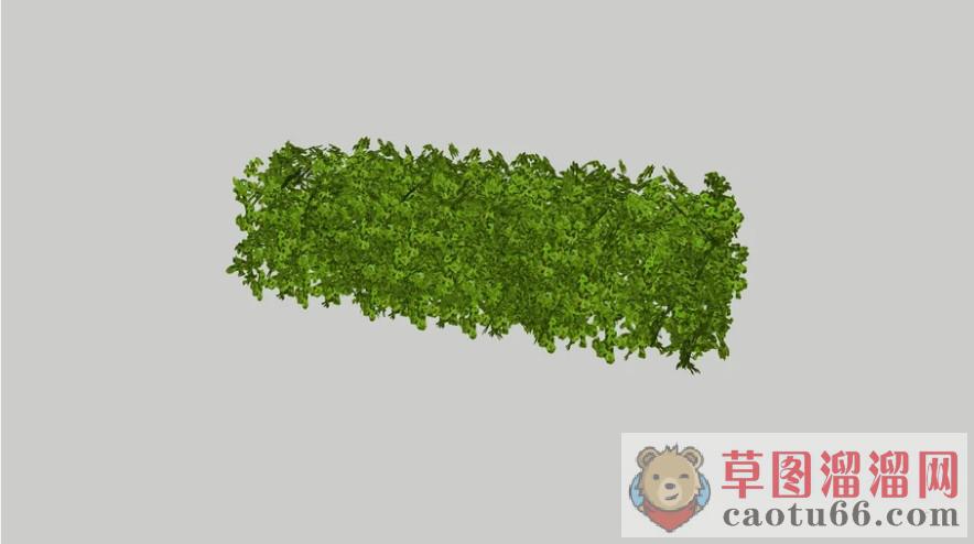 灌木绿植树SU模型 1