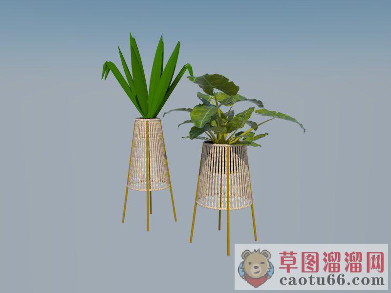 藤制室内盆栽植物SU模型 1