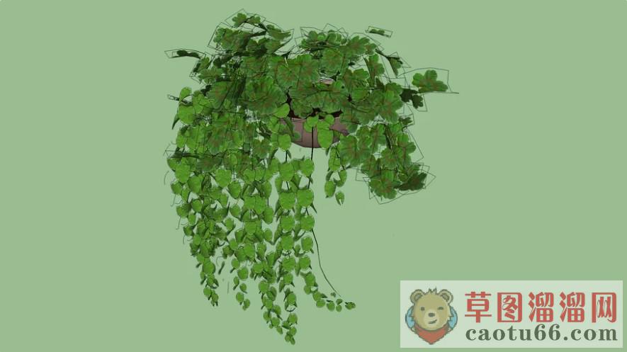 吊篮植物SU模型 1