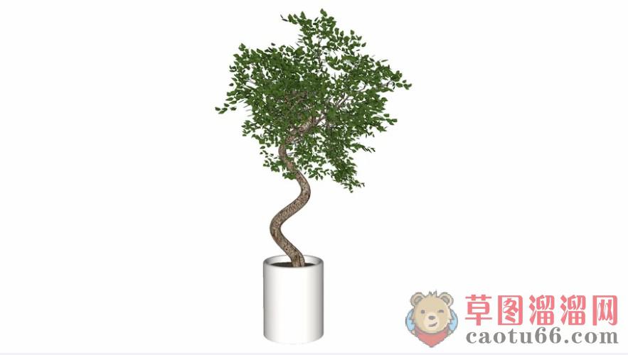 花盆盆栽植物SU模型 1