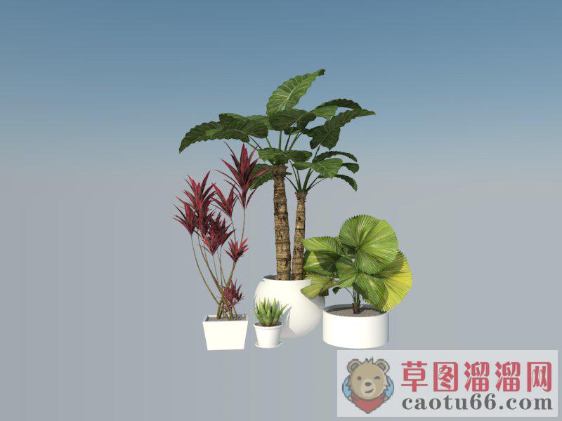 植物盆栽SU模型 1