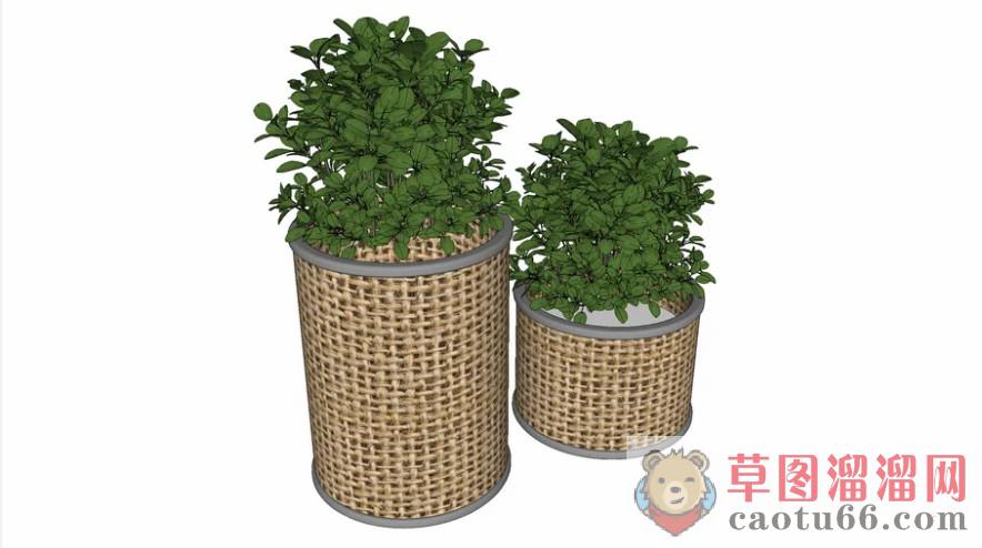 箩筐植物花盆SU模型 1