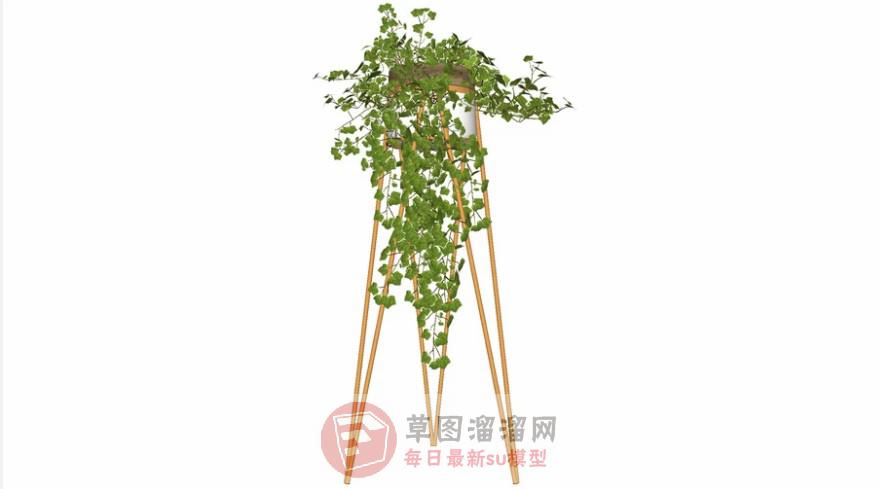 高脚花盆植物SU模型 1