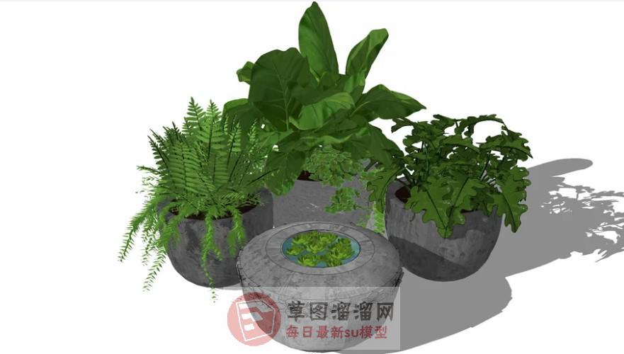 花盆盆栽SU模型 1