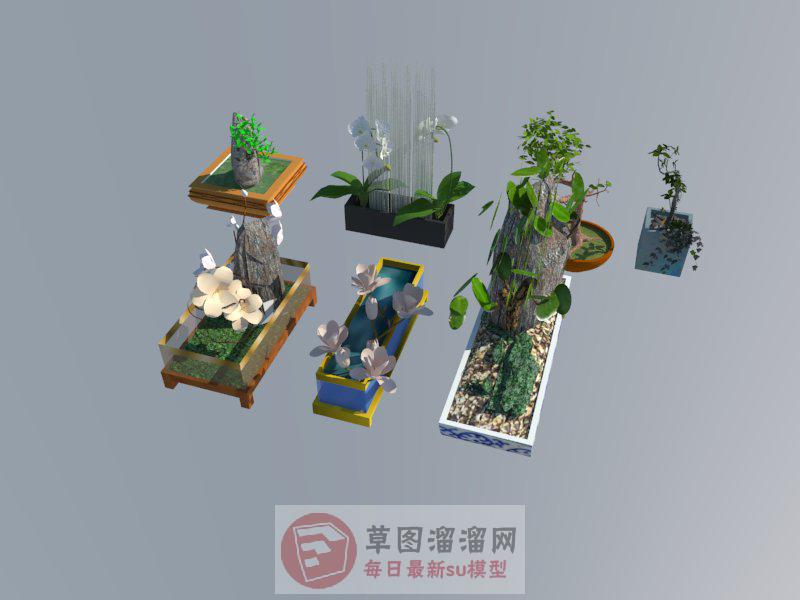 花盆盆栽植物SU模型 1