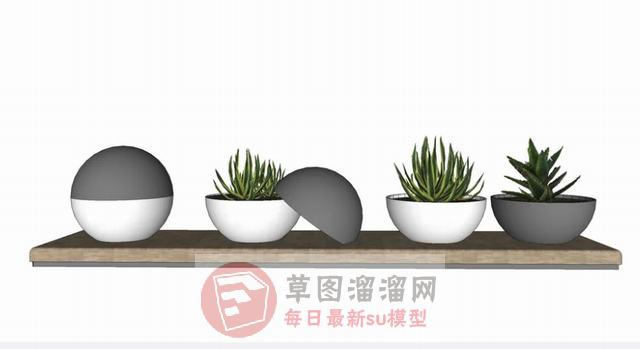 花盆装饰植物SU模型 1