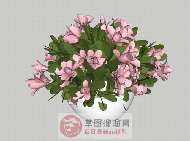 花盆植物鲜花SU模型