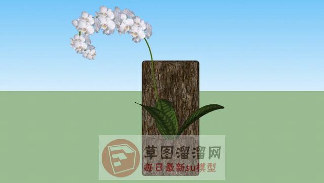 垂直绿化植物SU模型 2