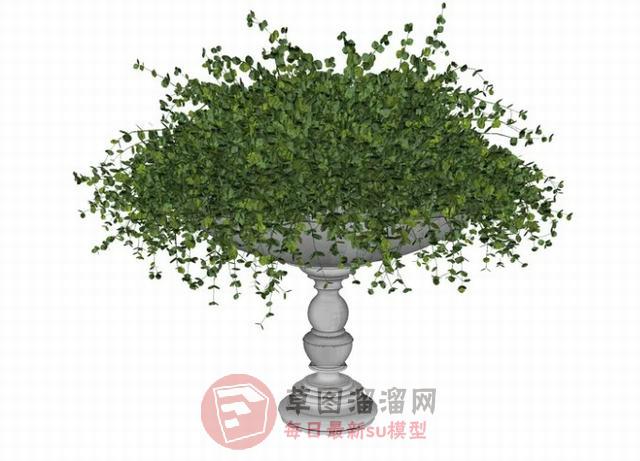 花钵植物SU模型 1