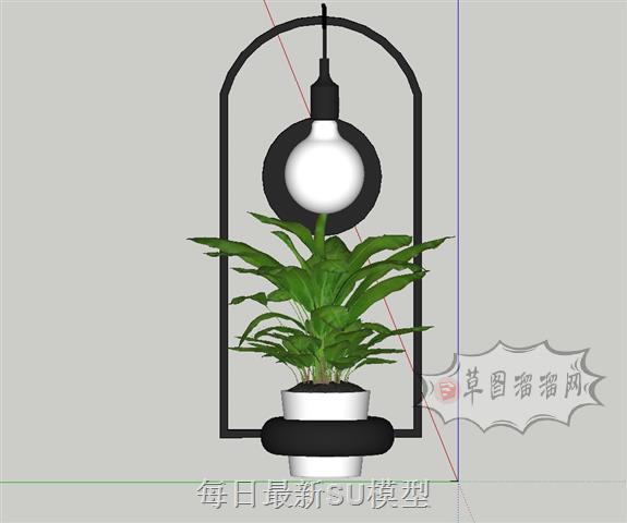 墙饰品花盆植物SU模型 1