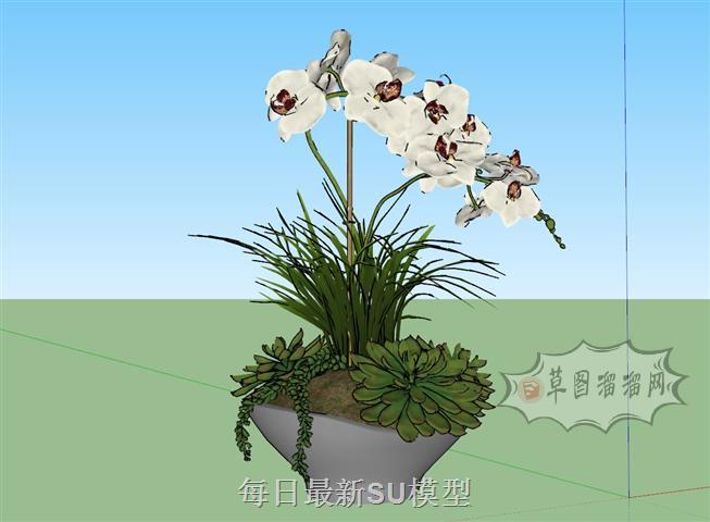 花盆植物盆栽SU模型 1