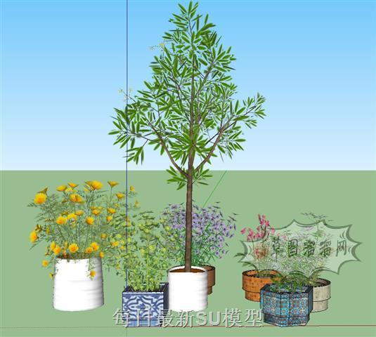 花盆植物SU模型 1