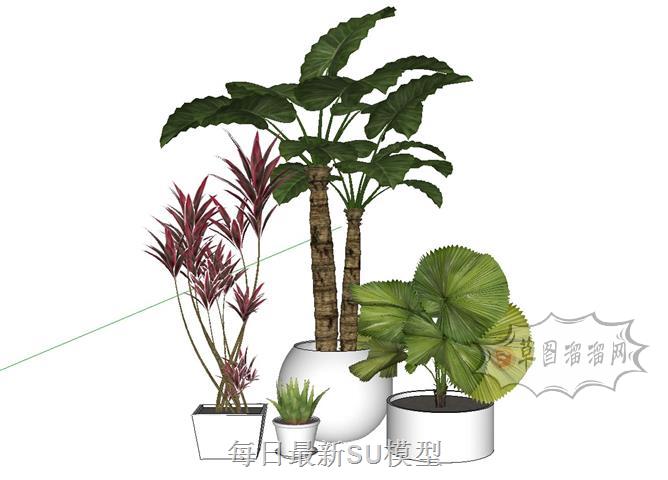 植物花盆摆件SU模型 1